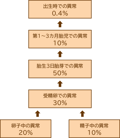 出生前の染色体異常