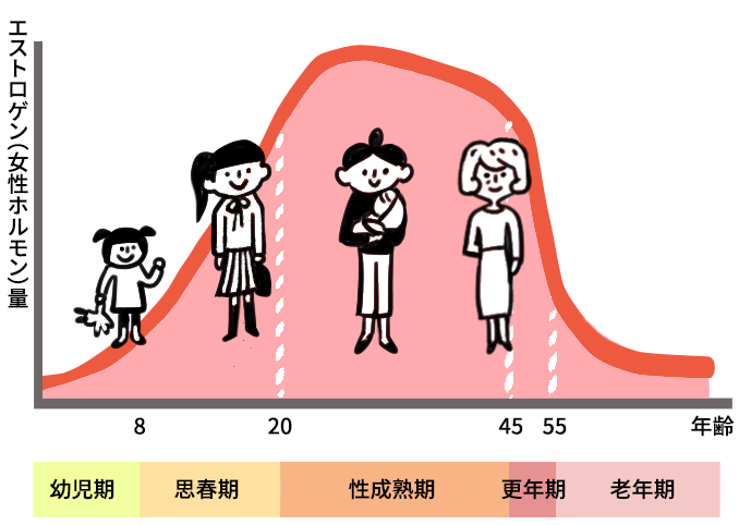 年齢に伴う女性ホルモン（エストロゲン量）の変化と不調