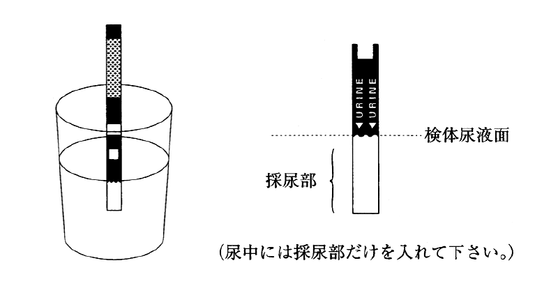 （図1）