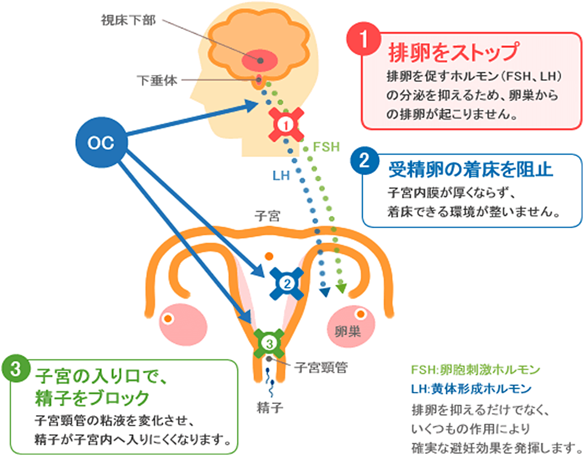 低用量ピルのしくみ